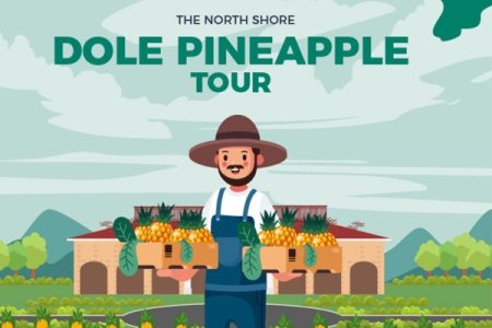 dole pineapple tour - 213adsa