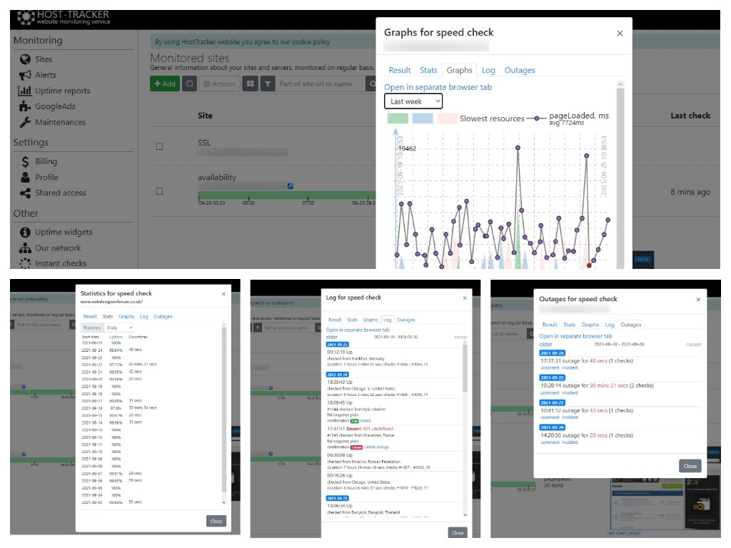 Basic and advanced monitoring tools for website