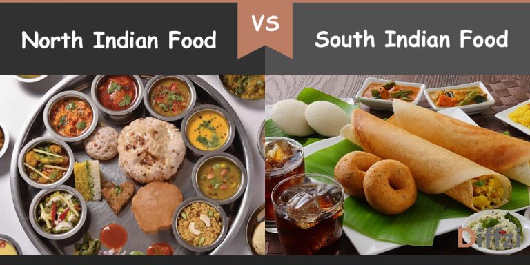 North Indian Food Vs. South Indian Food