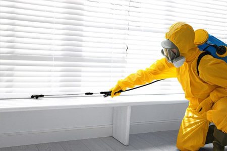 Pest Control Melbourne