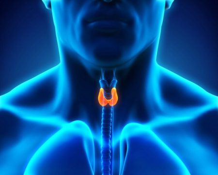 houston thyroid and endocrine