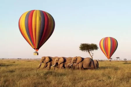 hot balloon in madhya pradesh