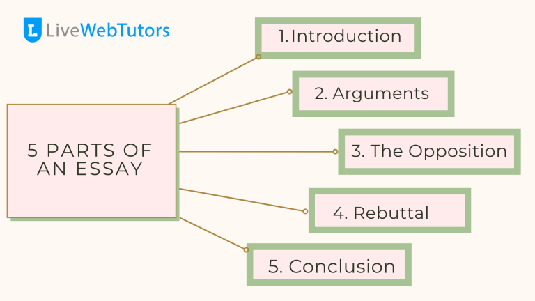 What Are The 5 Parts of An Essay?