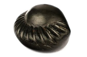 Natural & Untreated original shaligram shila