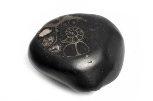 Shaligram shila 