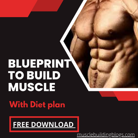 Blueprint to build muscle