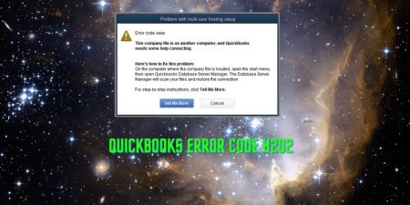 quickbooks error h202