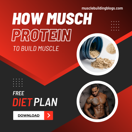 protein