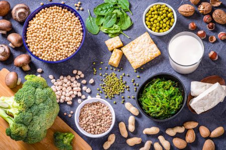 Plant Protein Market