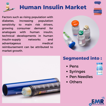 Human Insulin Market