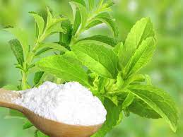 stevia