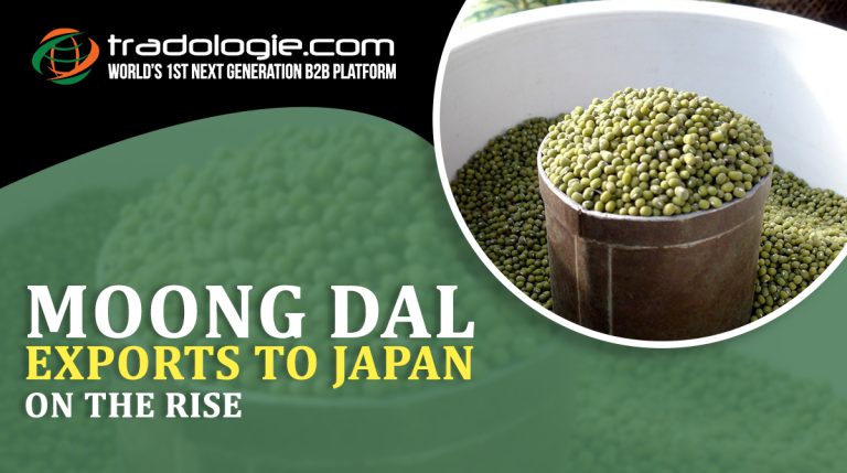 Green lentils exports to Japan on the rise