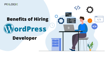 Hire a WordPress Developer