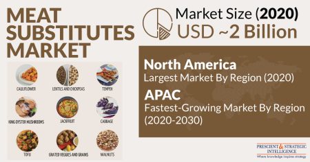 Meat Substitutes Market Analysis and Demand Forecast Report