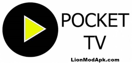 Pocket TV