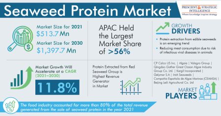 Seaweed Protein Market Segmentation Analysis Report