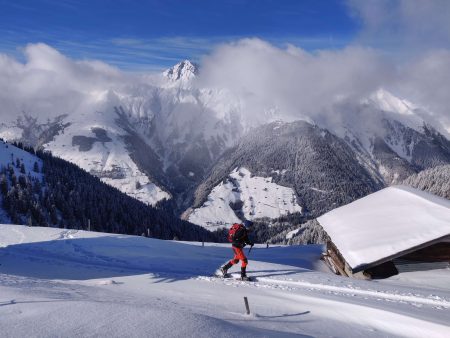 snowshoes for men