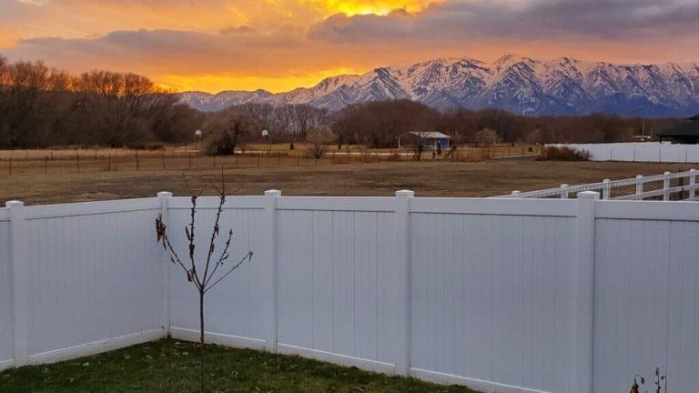 Does a Vinyl Fence Really Increase My Home's Value?