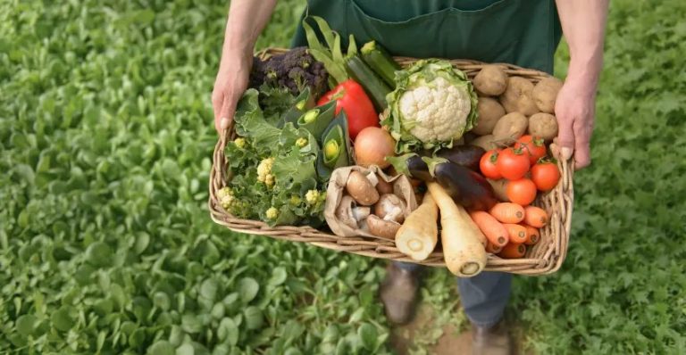 Advantages and disadvantages of organic farming