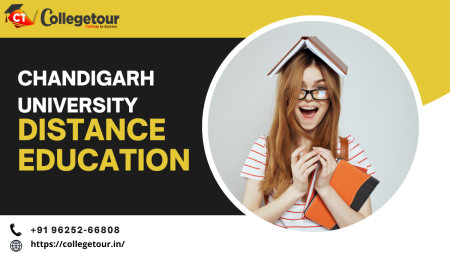 Chandigarh University Distance Education