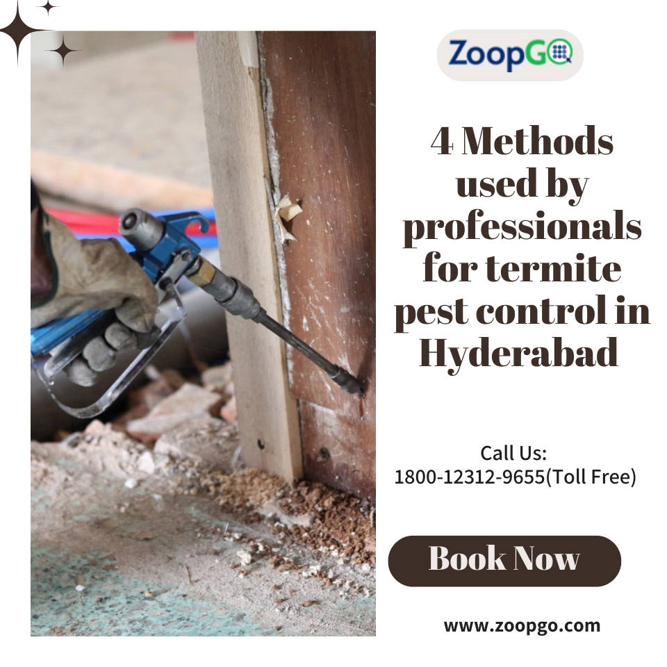 4 Methods used by professionals for termite pest control in Hyderabad 