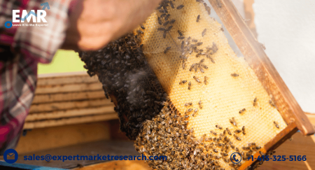 Indian Apiculture Market