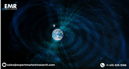 Rare Earth Magnet Market