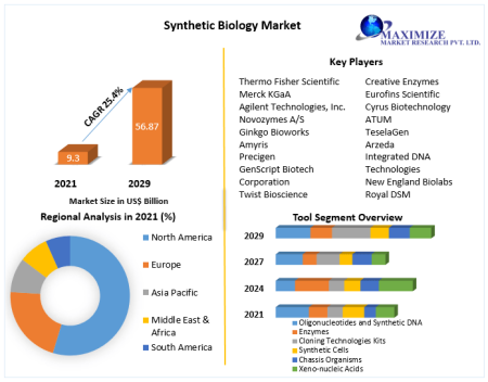 Synthetic Biology Market