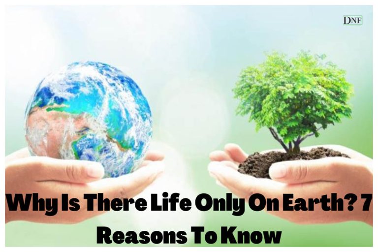 Why Is There Life Only On Earth? | Daily Nature Facts