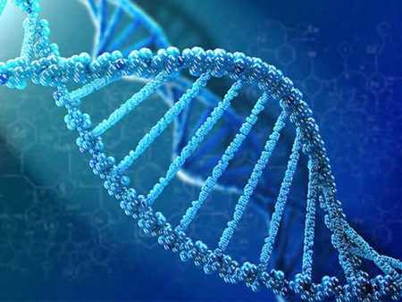 Aptamers Market