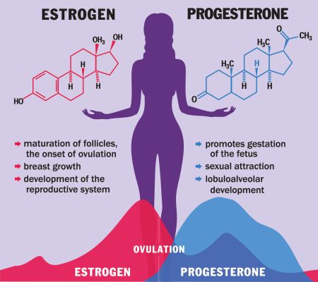 best vitamins To increase estrogen and progesterone