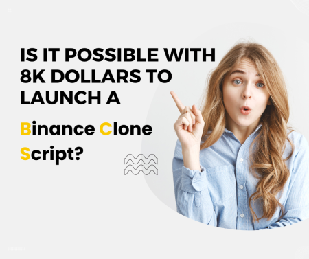 Is it possible with 8k Dollars to launch a binance clone script?