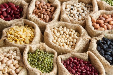 Pea Protein Market