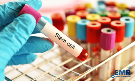 Stem Cell Market