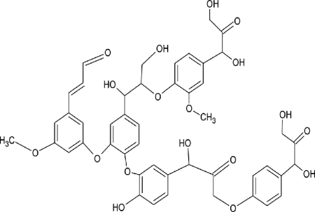 Lignin Market